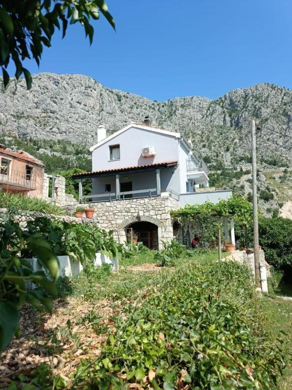 Holliday Home Alida With Jacuzzi Podgora Exteriör bild